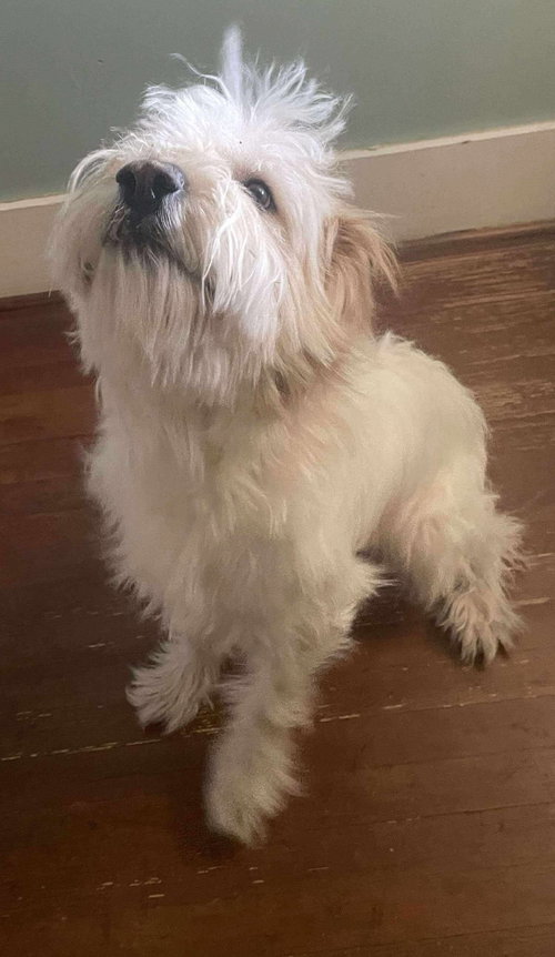 Milton - At shelter available 11/17