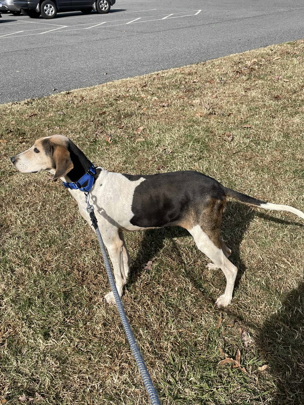 Tatum: Not at shelter (Wendy)