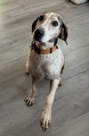 Tatum: Not at shelter (Wendy)