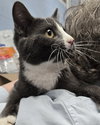 Tammy: At shelter