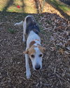 Chap - At shelter available 11/19