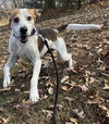 Chap: Not at shelter