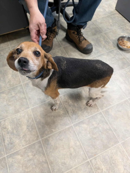 Maryann - At shelter available 11/21