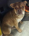 Missy: Not At shelter