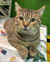 Stimpy: At shelter