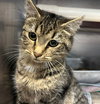 Spice Girl: At shelter