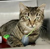 Spice Girl: At shelter