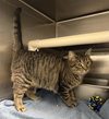 Spice Girl: Visit At Petsmart Lynchburg