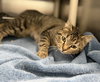 Spice Girl: Visit At Petsmart Lynchburg