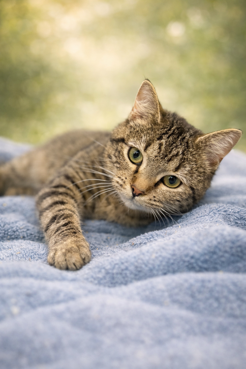 Spice Girl: At shelter