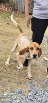 Tina: At shelter available 11/23