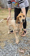 Tina: At shelter available 11/23