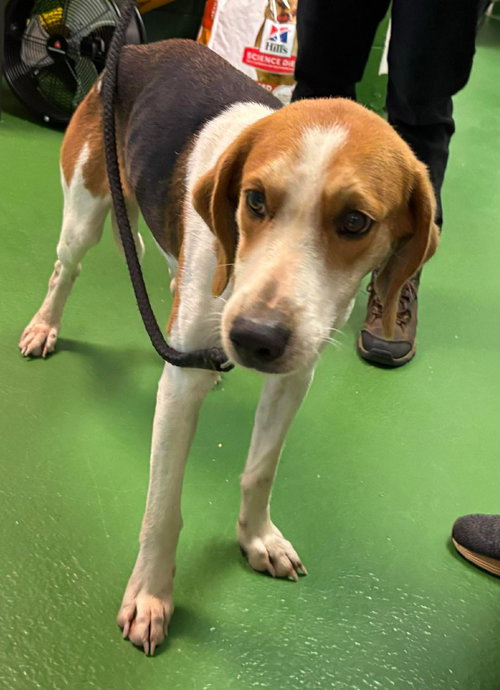 Ford - At shelter available 11/24