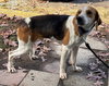 Ford - At shelter available 11/24