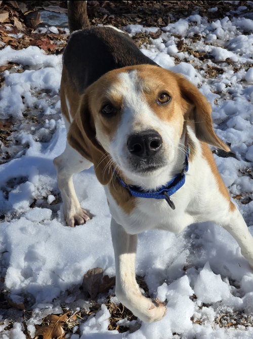 Ford - At shelter available 11/24