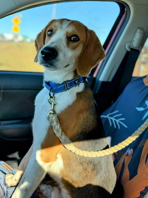 Ford: At shelter