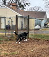 McFlurry: At shelter