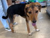 Dmitri: At Shelter