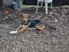 Ivan: At shelter