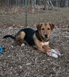 Ivan: At shelter