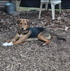 Ivan: At shelter