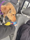 Ivan: At shelter