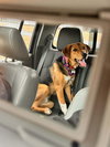 Ivan: At shelter