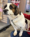JC: Not at shelter (Kendra)