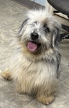 Chris: At the shelter