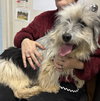 Chris: At the shelter