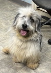 Chris: At the shelter