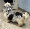 Chris: At the shelter