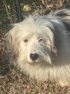 Chris: At the shelter