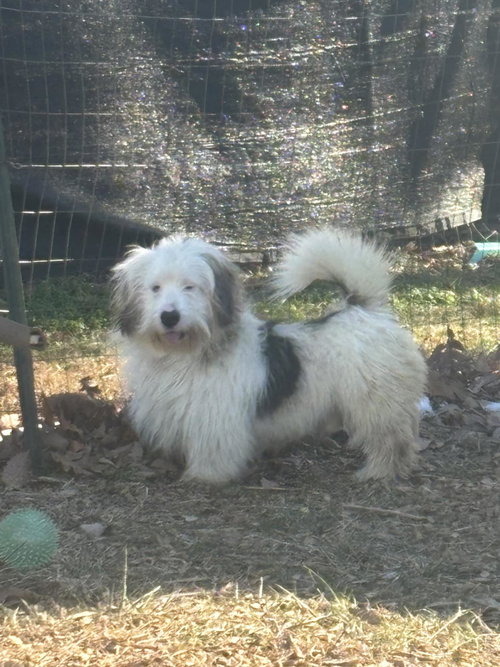 Chris: At the shelter