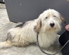 Justin: At the shelter