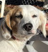 Sally Gump: At shelter
