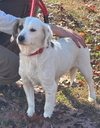Sally Gump: At shelter