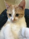 Kashi: Not at shelter (Maia)