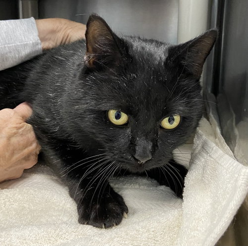 Charlie: At shelter