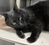 Charlie: At shelter