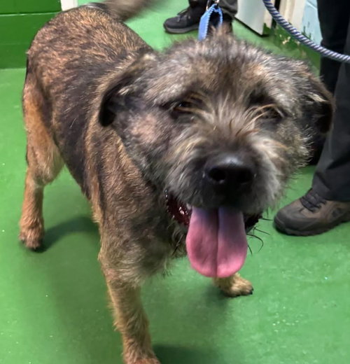 Jackson - At shelter