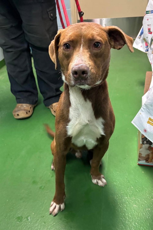 Fred - At shelter 12/21