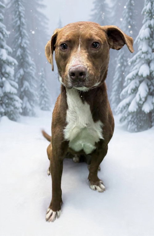 Fred - At shelter 12/21