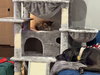 Elfie: Not at the Shelter (Faith)