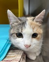 Miriam-Not at Shelter (Faith)