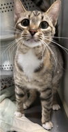Mary-Not at Shelter (Faith) Available 2/28