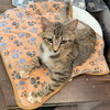 Mary-Not at Shelter (Faith) Available 2/28