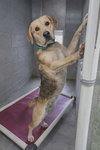 Leland - At shelter