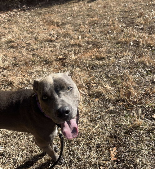 Blue: At shelter