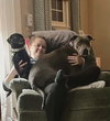 Blue: Not at Shelter (Jennifer)